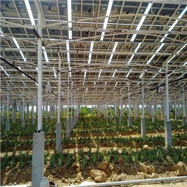 מבנים סולאריים של חוות PV