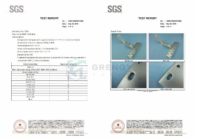 XMIN1809006751 SGS test report of Solar tile hooks