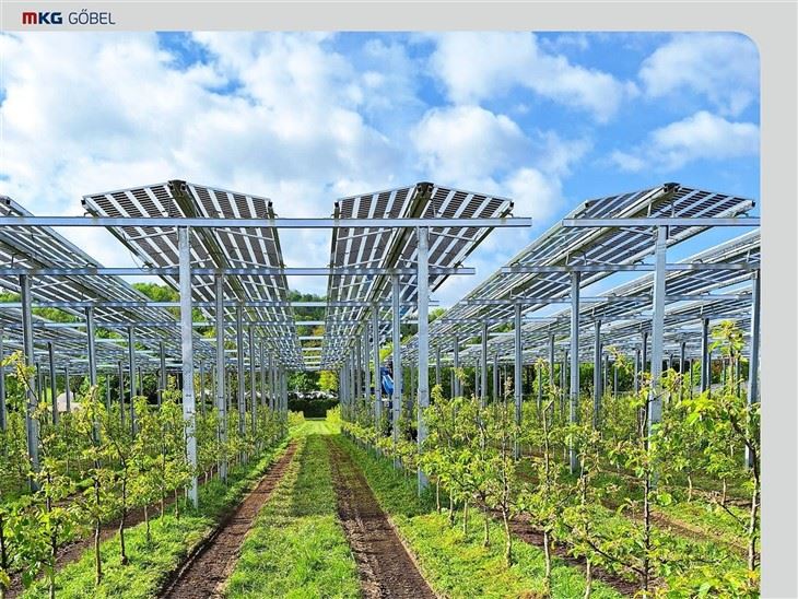 Agri-Solar Mounting: For Crops And Livestocks best