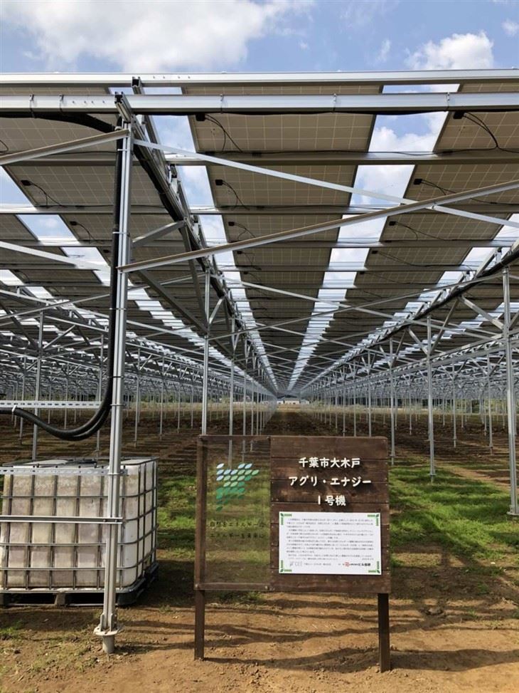 Mounting Structures For Agrivoltaics