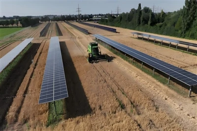 Agrivoltaics עם עוקבים, מערכות אנכיות מציעות יתרון כלכלי