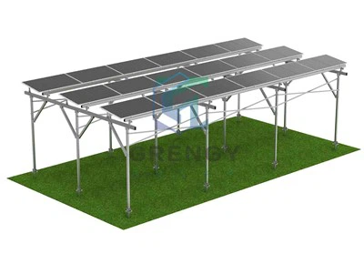 פתרון הרכבה של חוות סולארית חקלאות חקלאות